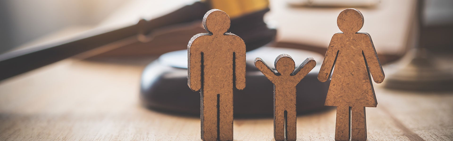 different types of custody