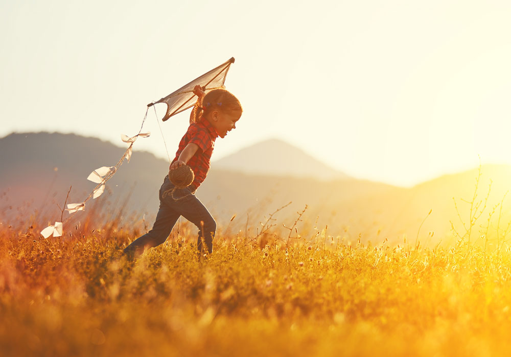 virginia CONSERVATORSHIP